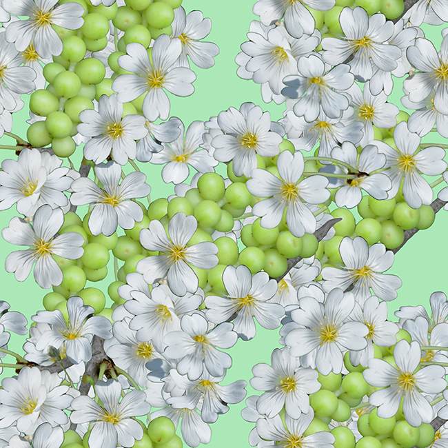 pattern with Fruit and Flowers